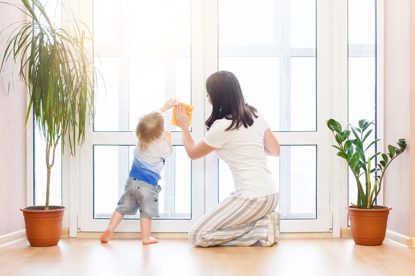 probioWELLCLEAN PREMIUM Mikrofasertücher (2 Stück) - ideal fürs Saubermachen mit den probioWELLCLEAN Reinigern