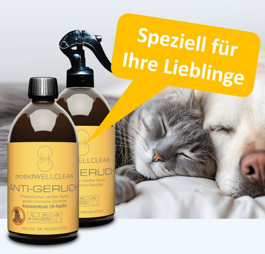 2er-Set probiotischer ANTI-GERUCH Spray gegen tierische Gerüche (sofort anwendbar, 500ml + 5-fach-Konzentrat, ergeben 3 Liter!)